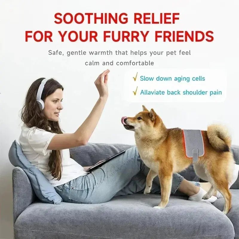 Dog Laser Therapy Belt for Joint Relief