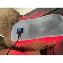 Dog Laser Therapy Belt for Joint Relief