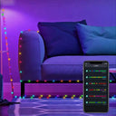 Dream Color LED String Lights for Party