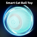 Electric Rolling Cat Toy for Interactive Indoor Play