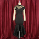 Elegant Lace Evening Gown Seductive See-through Dress Online