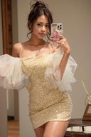 Enchanting Glitter Fairy Dress Shine Bright at Summer Parties