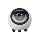 Ai Voice Robot Ball Dev Kit for Teachers