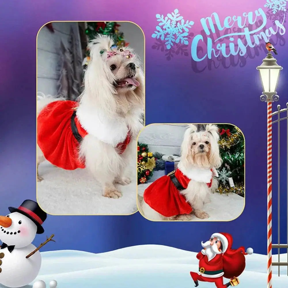 Festive Princess Dog Dress for Small Dogs Cozy Outfit