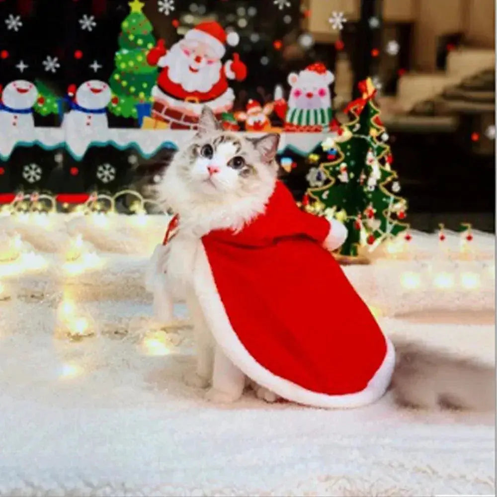 Festive Santa Outfit for Pets with Cloak and Scarf