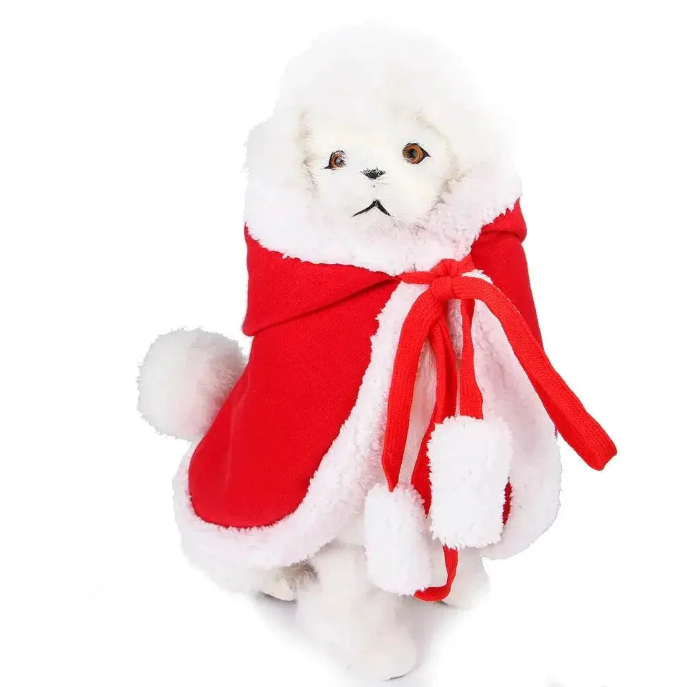 Festive Santa Outfit for Pets with Cloak and Scarf