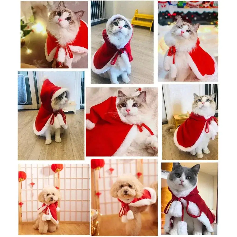 Festive Santa Outfit for Pets with Cloak and Scarf