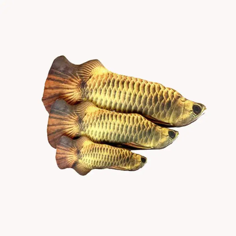 Fish Plush Cat Toy Interactive Chew Pillow For Cats