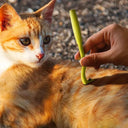 Safe Flea Tick Remover Tool Set for Pets