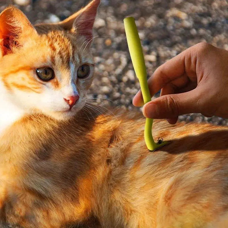 Flea And Tick Remover Tool Set For Pets Parasite Removal