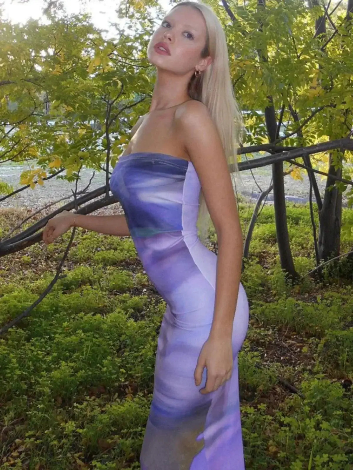 Elegant Floral Print Backless Tube Top Dress For Women