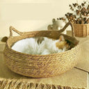 Cat Bed For Cats With Removable Pillow