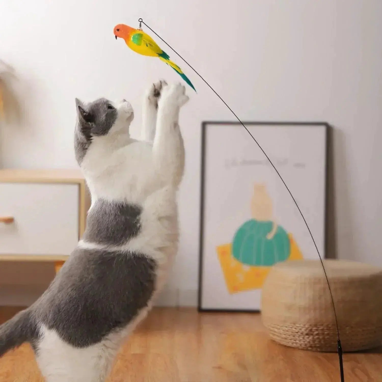 Funny Feather Cat Wand Toy With Bell Interactive Fun