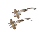 Funny Feather Cat Stick Toy with Bell Interactive Wand Fun