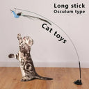 Funny Feather Cat Stick Toy with Bell Interactive Wand Fun