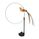 Funny Feather Cat Stick Toy with Bell Interactive Wand Fun