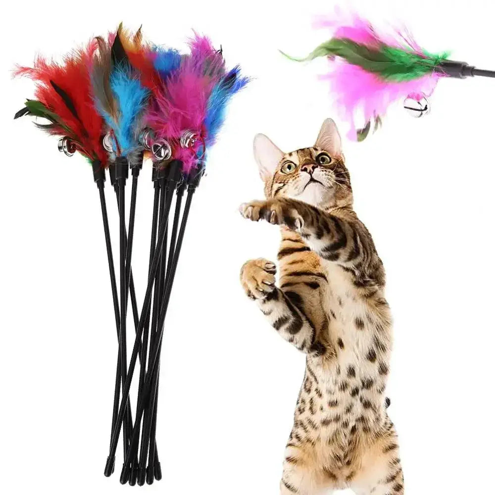 Kitten Teaser Interactive Cat Toy With Bell And Feather