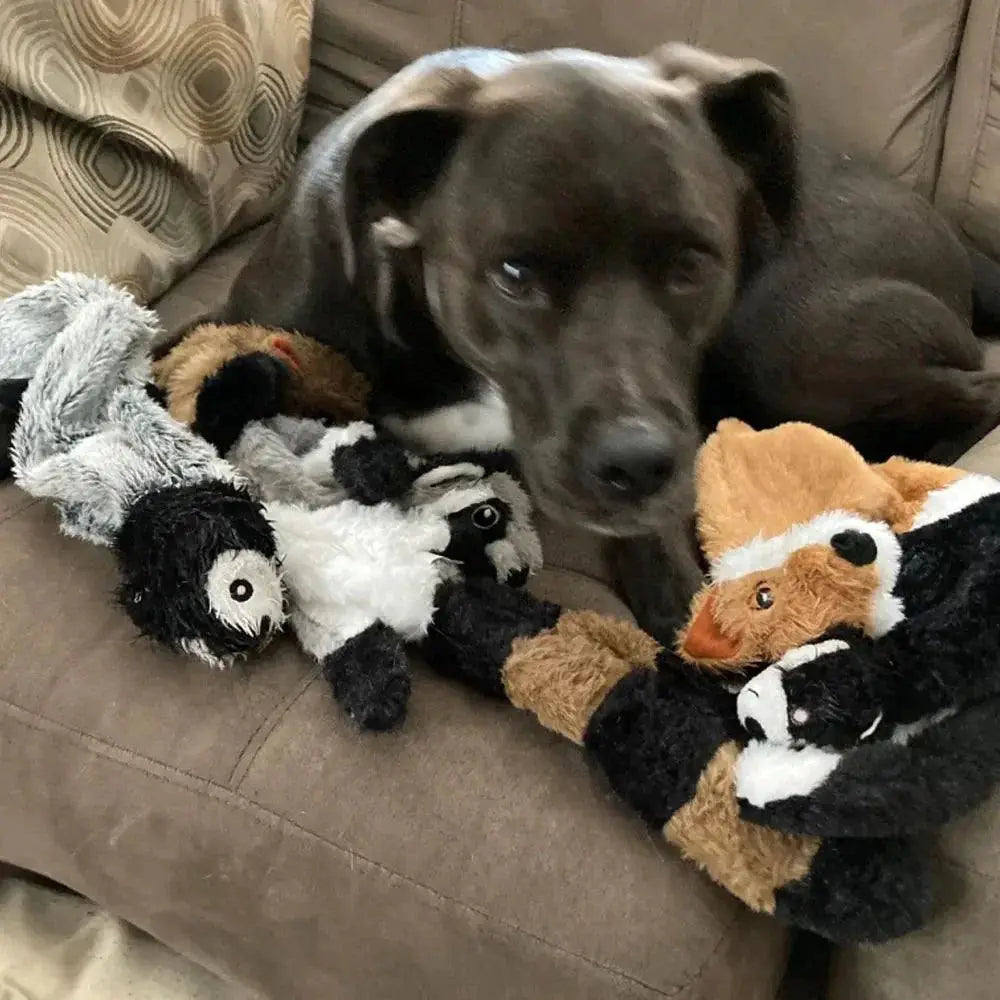 Funny Stuffing Free Dog Toy With Squeakers And Crinkle Sound