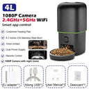 Automatic Cat Feeder for Peace Of Mind