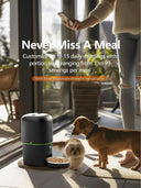 Automatic Cat Feeder for Peace Of Mind