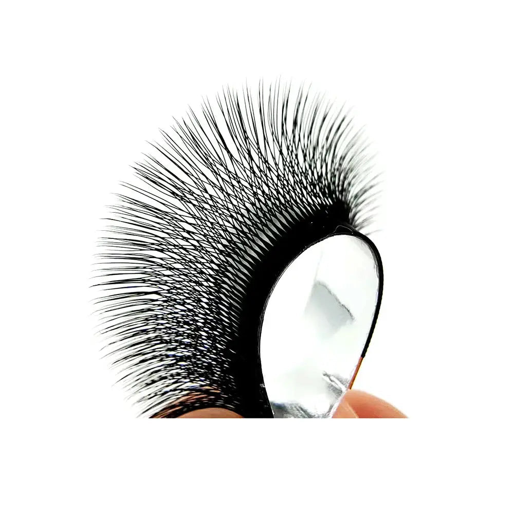 Glam On Point Matte Black 5D W Shape Eyelash Extensions Premade Volume TBestt