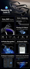Glasses for On The Go AI Companion