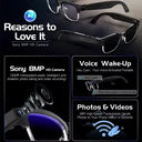 Glasses for On The Go AI Companion