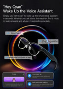 Glasses for Travelers Translation