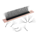 Voluminous Eyelash Extensions for Salons