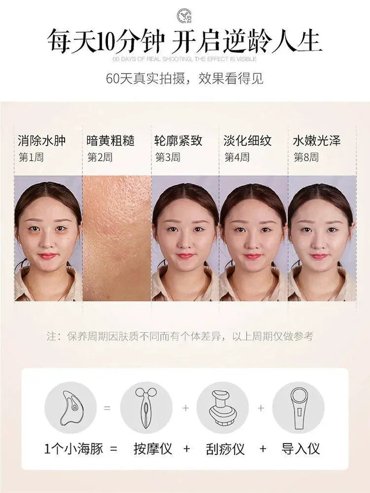 Golden Rice Electric Facial Scraper Tool Multi Function