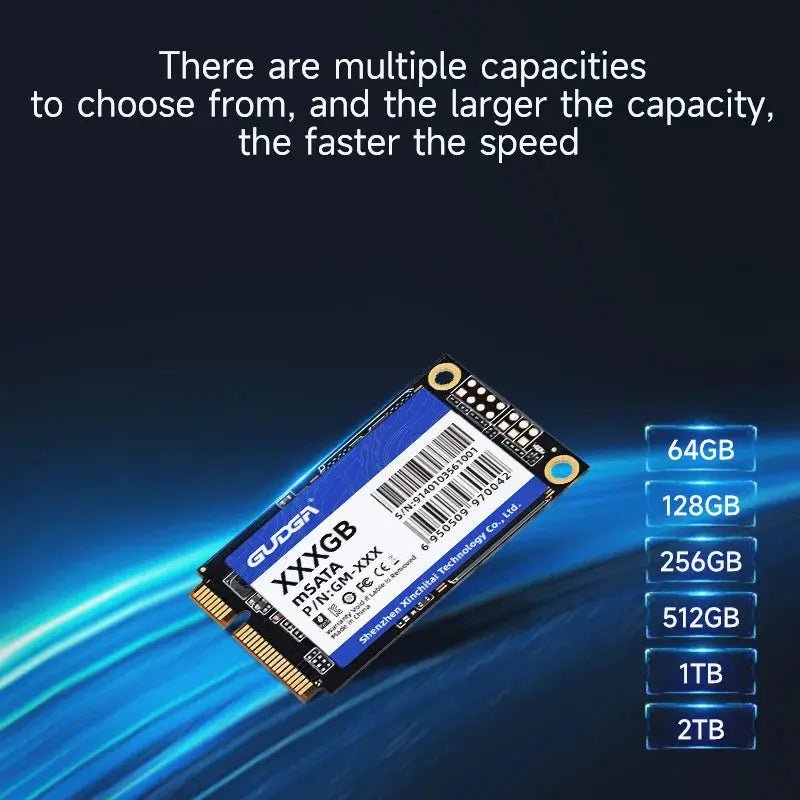 GUDGA Fast mSATA SSD Laptop Desktop