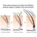 Hair Regrowth Elixir Herbal Onion Black Seed Spray 50ml