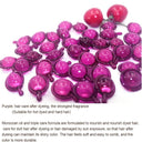 Hair Revitalization Set: Luxurious Vitamin-Infused Care