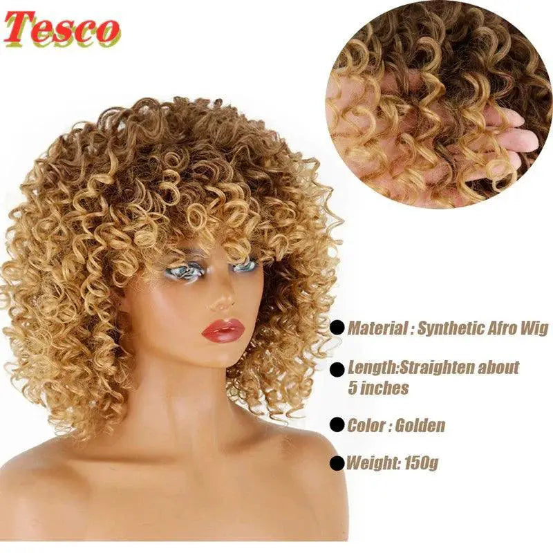 African Afro Hair Wig For Women Bold Fashion Statement