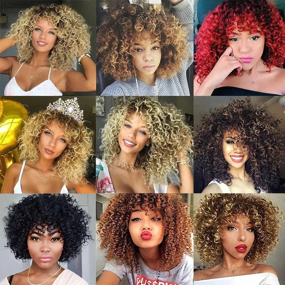 African Afro Hair Wig For Women Bold Fashion Statement