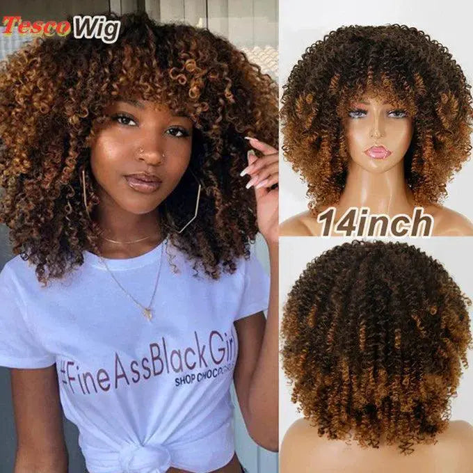 African Afro Hair Wig For Women Bold Fashion Statement