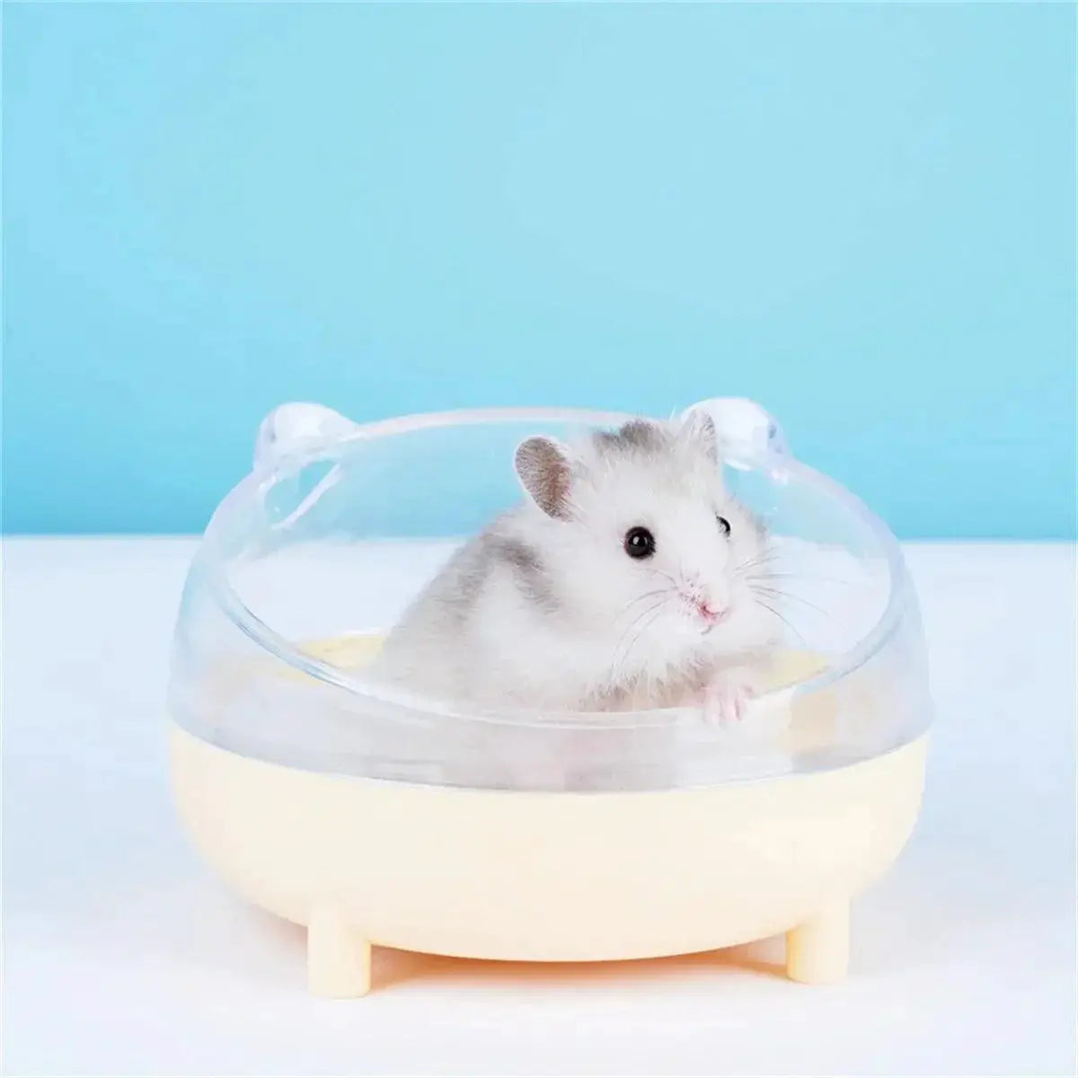 Hamster Transparent Bathroom Sandbox for Small Pets Care