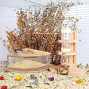 Hamster Transparent Sand Bath Container for Small Pets Care