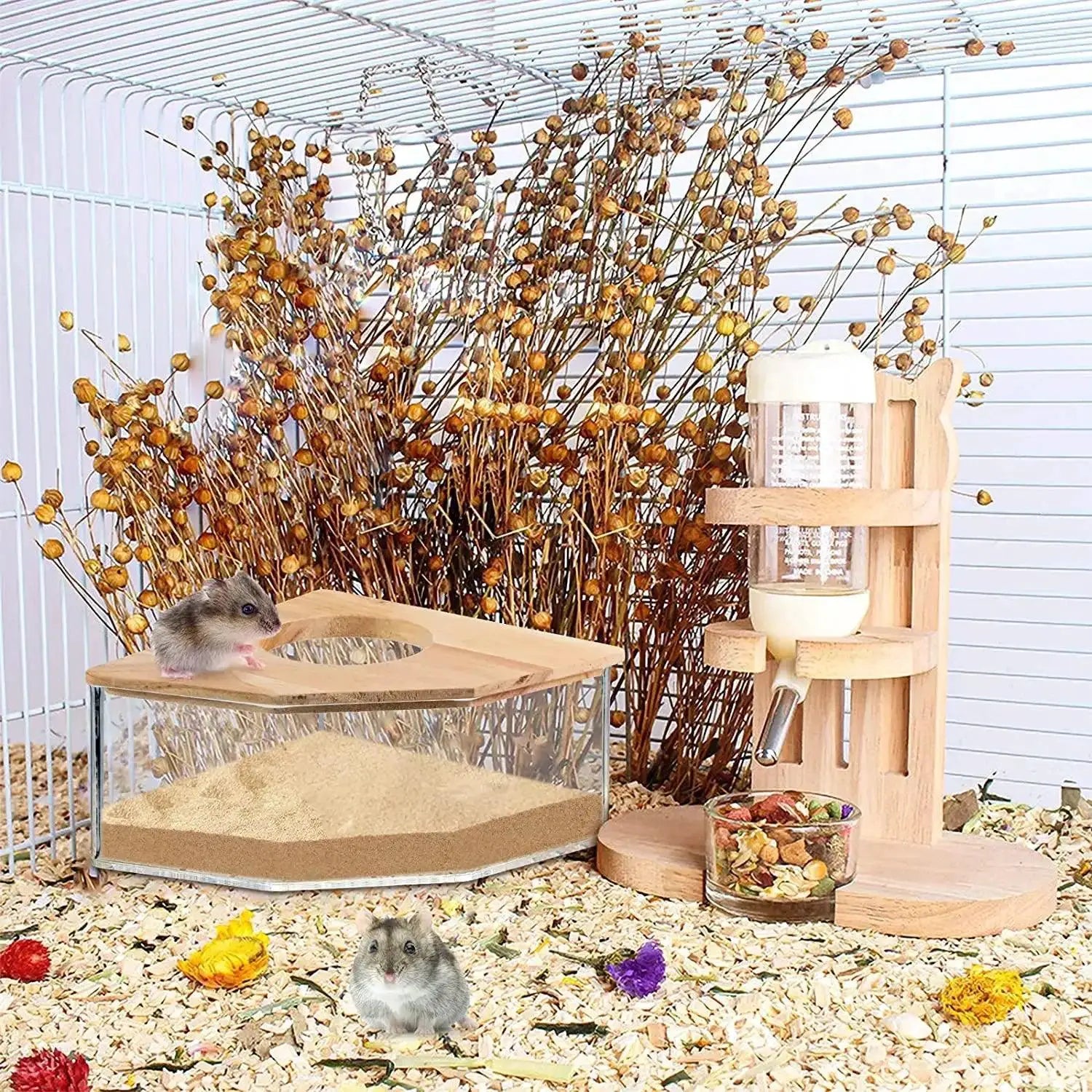 Hamster Transparent Sand Bath Container For Small Pets