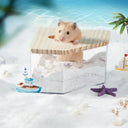 Hamster Transparent Sand Bath Container for Small Pets Care