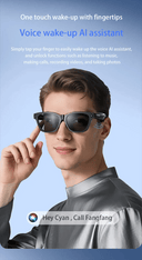 Hands-Free Smart Glasses for Travelers