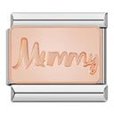 Hapiship Original Daisy Rose Heart Musical Instruments Charm Links