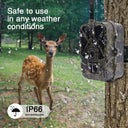 4K Live Stream Trail Camera for Hunters