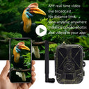 4K Live Stream Trail Camera for Hunters