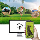 4K Live Stream Trail Camera for Hunters