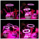 Angel Ring LED Grow Light Full Spectrum Plant Growth Booster