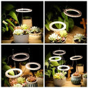 Angel Ring LED Grow Light Full Spectrum Plant Growth Booster