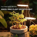 Angel Ring LED Grow Light Full Spectrum Plant Growth Booster