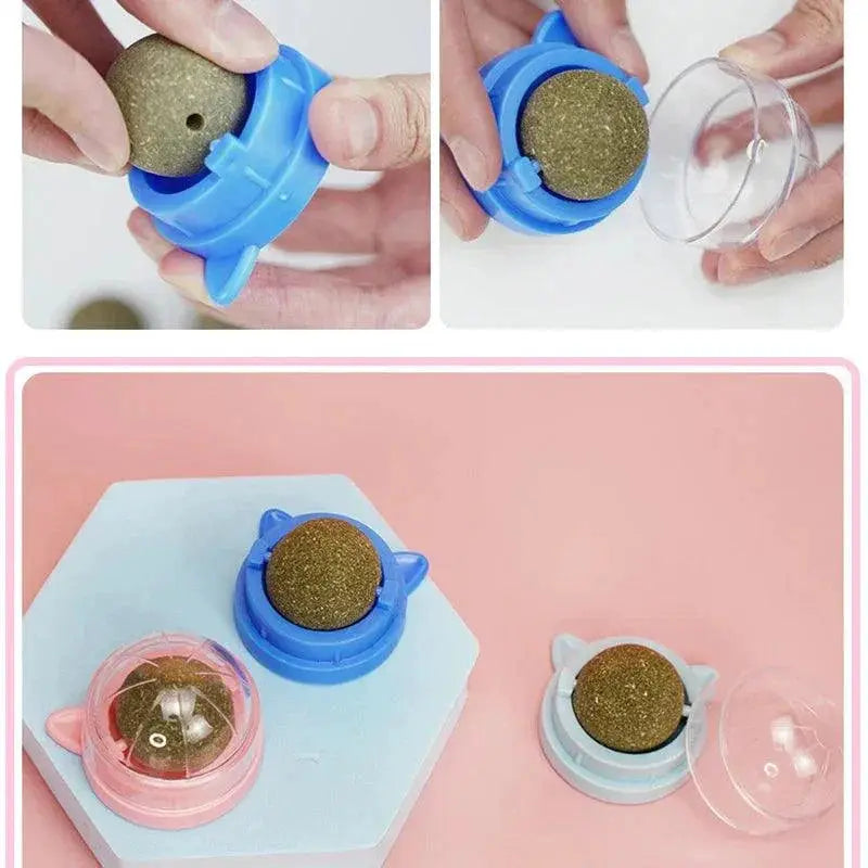 Healthy Cat Catnip Toys Ball for Dental Health Fun