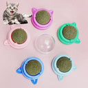Dental Health Catnip Ball Toy for Cats
